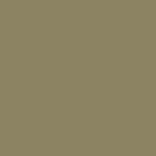 Verde Militare Lucido (A03)