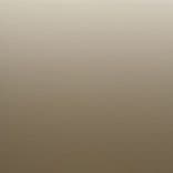 Bronzo Laccato Finitura Metallo Liquido (685)
