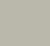 Grigio seta (05Y)